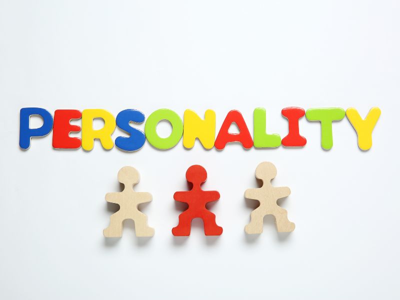 Nhóm 1: Nhà Phân Tích (Analysts) - Những người theo đuổi tri thức và logic