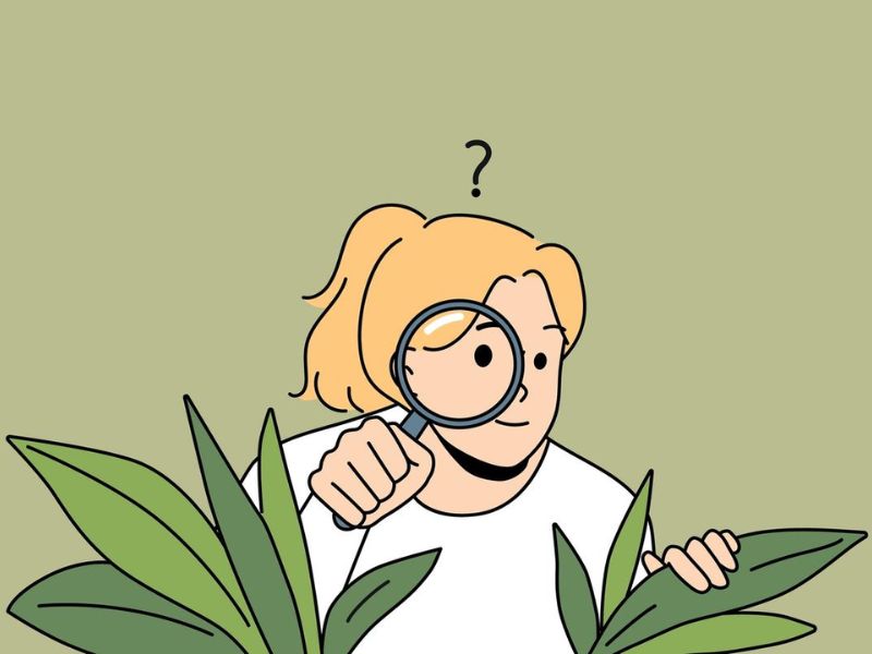 Nhược điểm và Thách thức cần cải thiện của ESFP