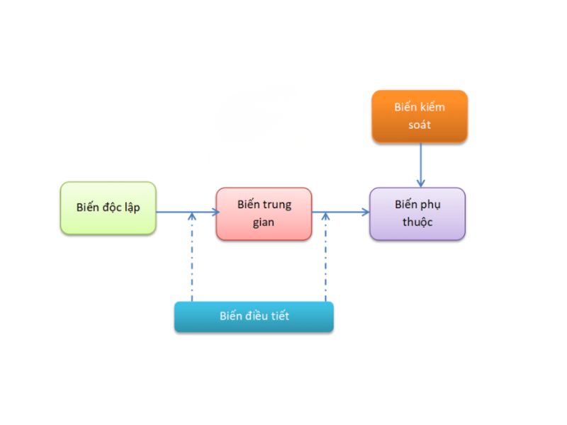 Biến Điều Tiết (Moderator) Là Gì