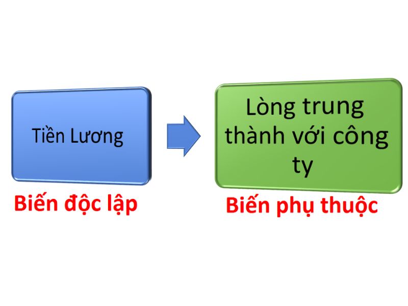 Biến Độc Lập (Independent Variable) Là Gì? Phân Biệt Với Biến Phụ Thuộc