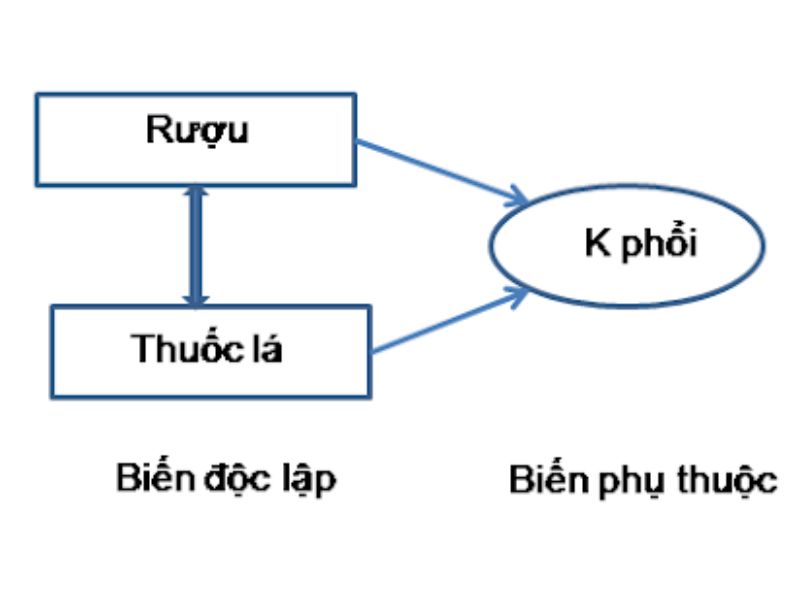 Biến Phụ Thuộc Là Gì? Vai Trò Và Cách Xác Định Trong Nghiên Cứu Khoa Học