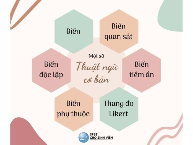 Biến Quan Sát (Observed Variable) Là Gì?