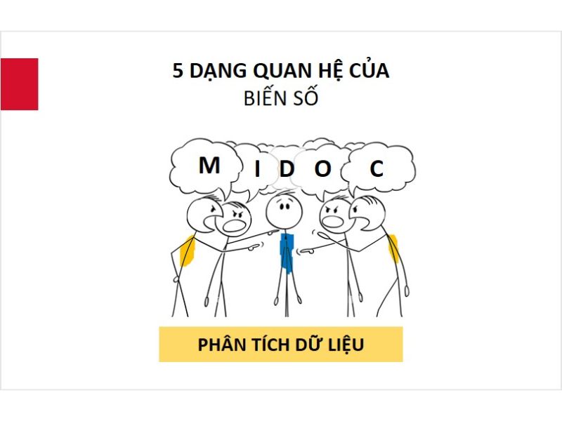 Biến Quan Sát (Observed Variable) Là Gì?