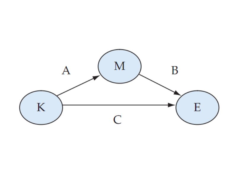 Biến Trung Gian Là Gì? Vai Trò Cầu Nối Trong Mô Hình Nghiên Cứu