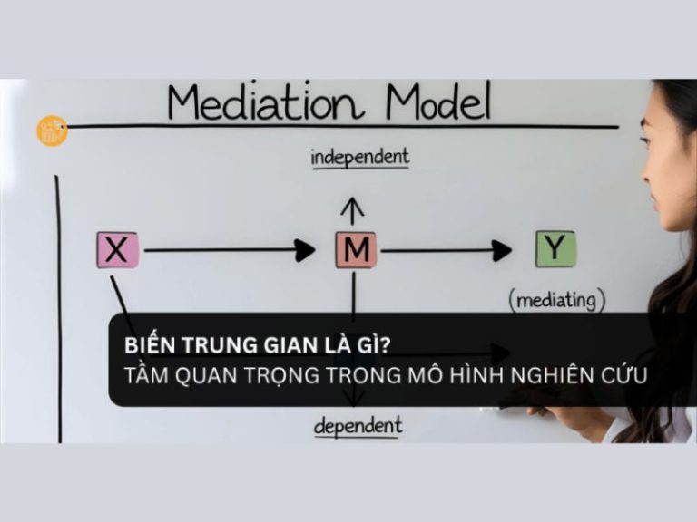 Biến Trung Gian Là Gì? Vai Trò Cầu Nối Trong Mô Hình Nghiên Cứu