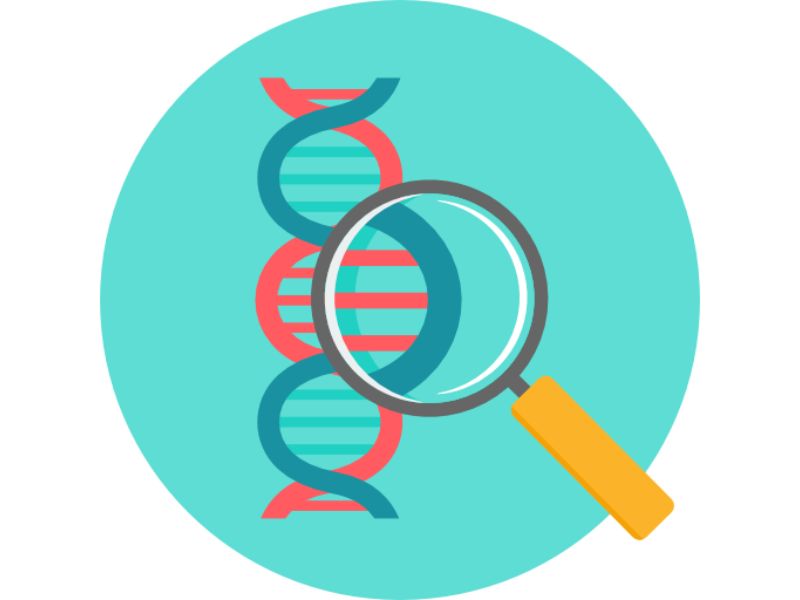 Đề tài nghiên cứu khoa học là gì? (Hiểu đúng bản chất)
