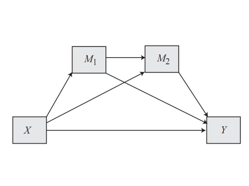 Mô hình nghiên cứu khoa học: Cấu trúc chuẩn và Phân loại các biến số