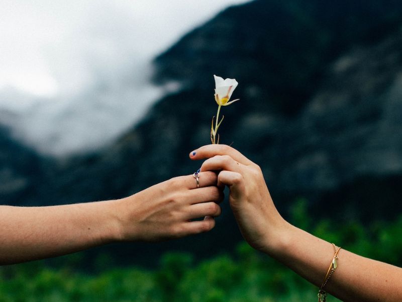 Top Ngành nghề Phù hợp nhất với Nhóm Xã hội (Social)