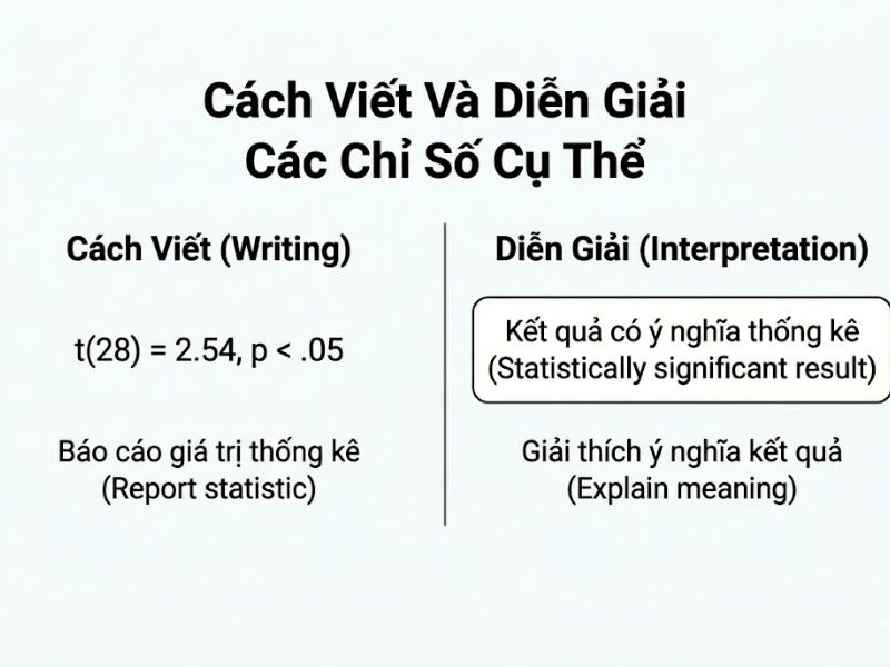 Hướng Dẫn Báo Cáo Các Chỉ Số Thống Kê Trong Nghiên Cứu Khoa Học