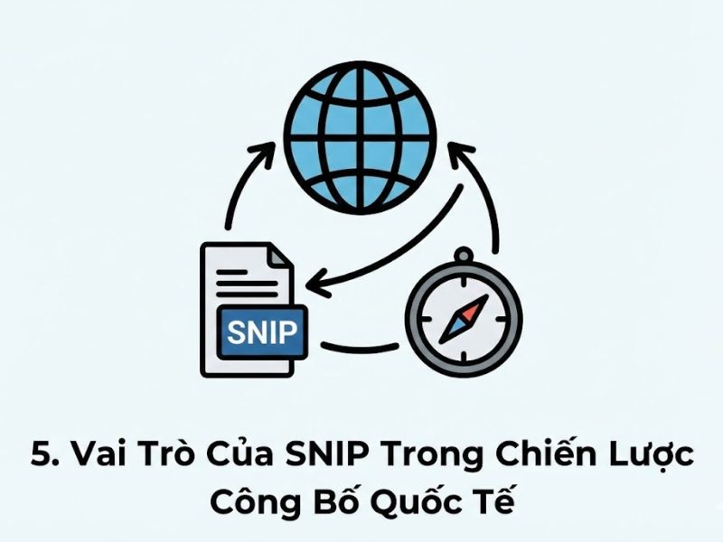 Chỉ Số SNIP Trong Nghiên Cứu Khoa Học Là Gì? Phương Pháp Tra Cứu & Đánh Giá Tạp Chí Scopus