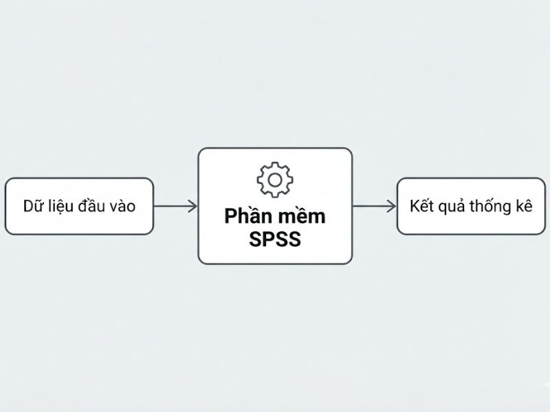 Phần mềm SPSS trong Nghiên cứu Khoa học

