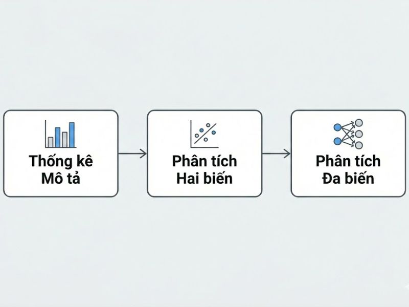 Các chức năng thống kê cốt lõi trong nghiên cứu
