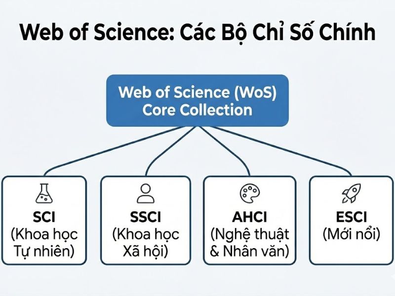 Phân Nhóm Nghiên Cứu Khoa Học: Hệ Thống Web of Science, Scopus và Các Chỉ Số Xếp Hạng (Q1-Q4)