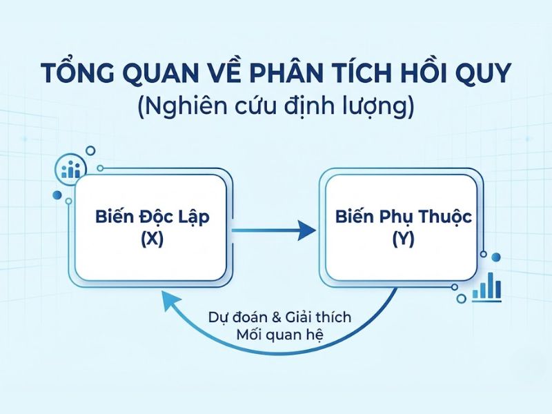 Tổng quan về Phân tích hồi quy trong Nghiên cứu định lượng