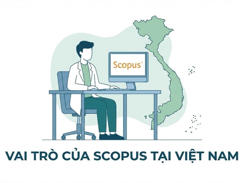 Scopus Nghiên cứu Khoa học: Khái niệm, Vai trò và Cách Tra cứu Chuẩn xác