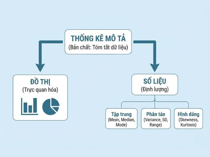 Bản chất và Phân loại Thống kê mô tả
Nội dung: Tóm tắt dữ liệu bằng Đồ thị và các nhóm chỉ số cốt lõi.