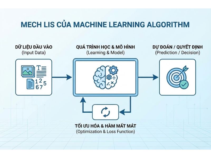 Tổng Hợp Các Thuật Toán Machine Learning Phổ Biến