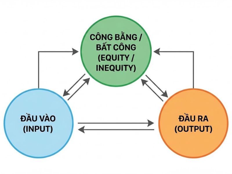 Lý thuyết Công bằng (Equity Theory): Nền Tảng, Nội Hàm và Ứng Dụng