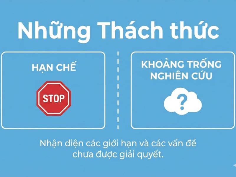 Lý thuyết Năng lực Động: Nền Tảng, Nội Hàm và Ứng Dụng Trong Nghiên Cứu Quản Trị
