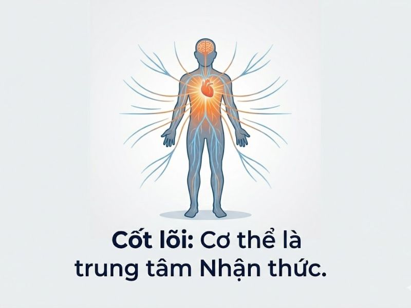 Lý thuyết Nhận thức Hiện thân: Nền Tảng, Nội Hàm và Ứng Dụng Thực Tiễn