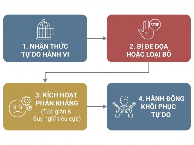 Lý thuyết Phản kháng Tâm lý (Psychological Reactance): Nền Tảng, Nội Hàm và Ứng Dụng
