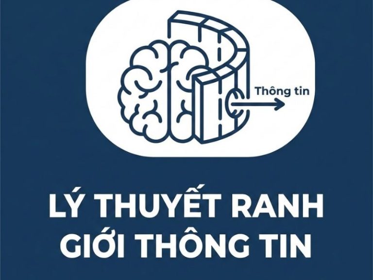 Lý thuyết Ranh giới Thông tin: Nền tảng, Nội Hàm và Ứng dụng trong Nghiên cứu Quản trị