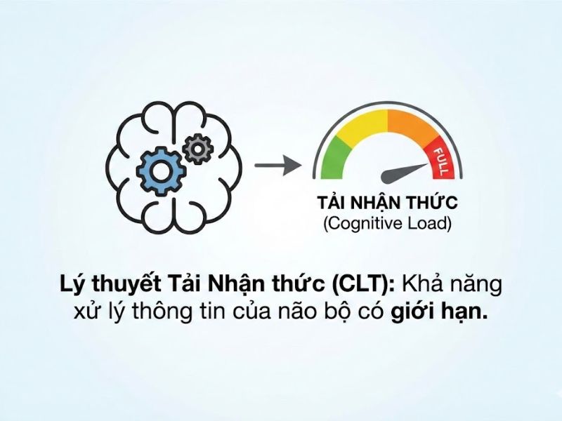 Lý thuyết Tải Nhận thức (Cognitive Load Theory): Nền Tảng, Thang Đo và Ứng Dụng Trong Nghiên Cứu
