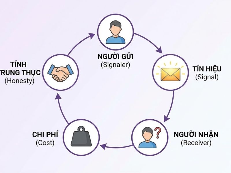 Lý thuyết Tín hiệu (Signaling Theory): Nền Tảng, Nội Hàm và Ứng Dụng