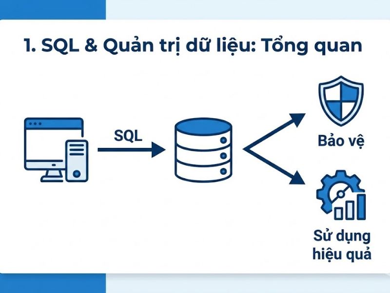 SQL Cơ Bản Về Dữ Liệu Data: Hướng Dẫn Toàn Diện Cho Người Mới Bắt Đầu