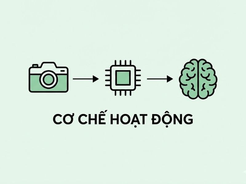 Thị giác máy tính là gì? Khái niệm, Cơ chế hoạt động và Ứng dụng thực tế