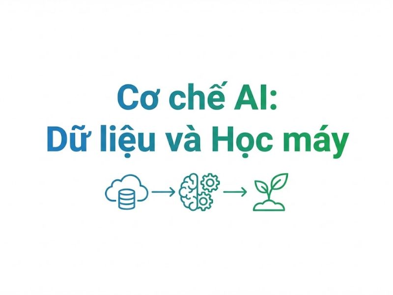 Ứng dụng AI trong nông nghiệp: Bước tiến của Nông nghiệp chính xác 4.0
