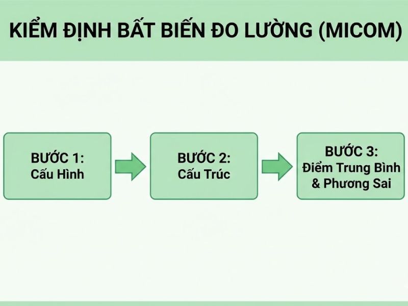 Cheah et al. (2020): Quy trình Phân tích đa nhóm trên SmartPLS
