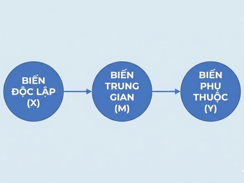 Kiểm định tác động gián tiếp: Nền Tảng, Nội Hàm và Ứng Dụng (Phân tích Yzerbyt et al., 2018)
