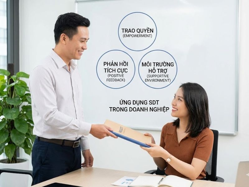 Lý thuyết Tự quyết (Self-Determination Theory): Nền Tảng, Nội Hàm và Ứng Dụng Trong Nghiên cứu & Quản trị
