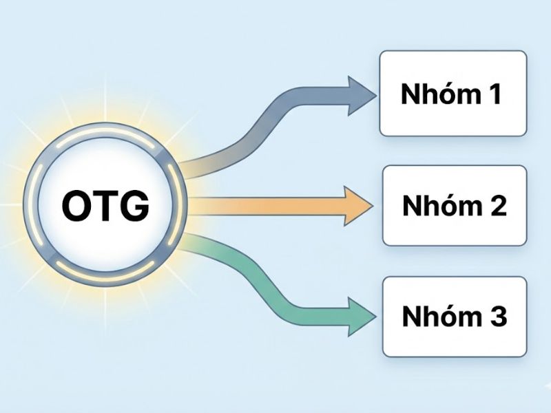 Phân tích đa nhóm trong PLS-SEM: Các phương pháp thay thế và Kiểm định Tổng quát OTG (Sarstedt et al., 2011)
