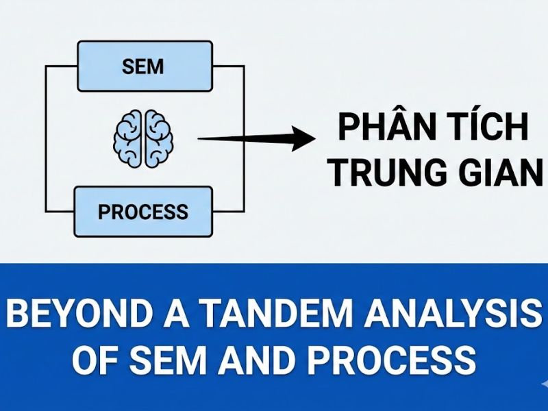 Phân tích trung gian: "Beyond a tandem analysis of SEM and PROCESS" (Sarstedt et al., 2020)
