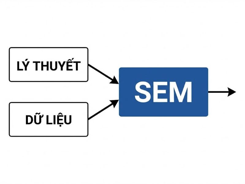 Phương pháp tiếp cận Mô hình phương trình cấu trúc (SEM) với cả Nhân tố và Thành phần – Theo Hwang và cộng sự (2020)
