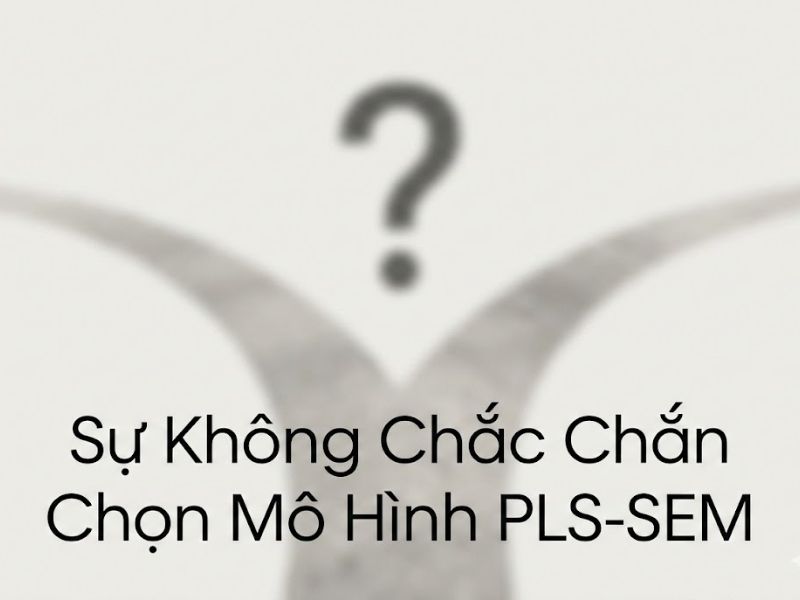 Sự Không Chắc Chắn Trong Lựa Chọn Mô Hình Và Suy Luận Đa Mô Hình Trong PLS-SEM -  Nicholas P. Danks
