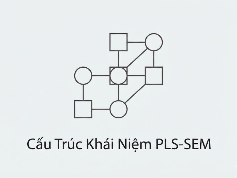 Sự Không Chắc Chắn Trong Lựa Chọn Mô Hình Và Suy Luận Đa Mô Hình Trong PLS-SEM -  Nicholas P. Danks
