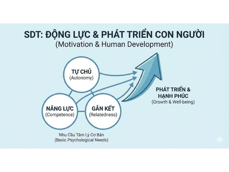 Thuyết Tự Quyết (SDT) Trong Khoa Học Tiếp Thị: Tổng Quan Tích Hợp Và Chương Trình Nghị Sự Nghiên Cứu
