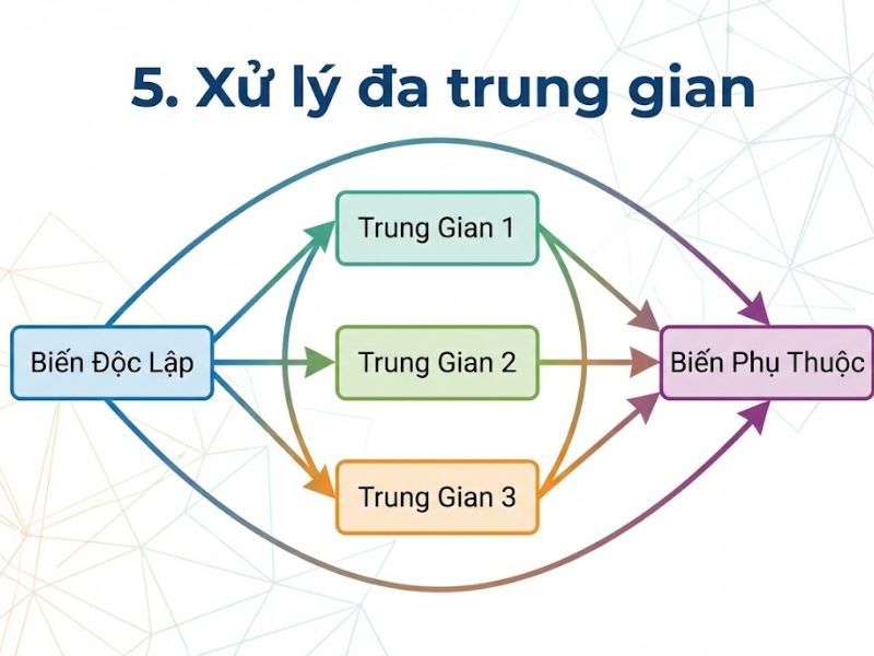 Phân Tích Trung Gian Trong Mô Hình Đường Dẫn PLS – Christian Nitzl, José L. Roldán & Gabriel Cepeda Carrión (2016)
