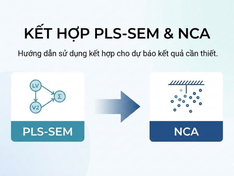 Khi các Yếu tố Dự báo Kết quả là Cần thiết: Hướng dẫn Sử dụng Kết hợp PLS-SEM và NCA
