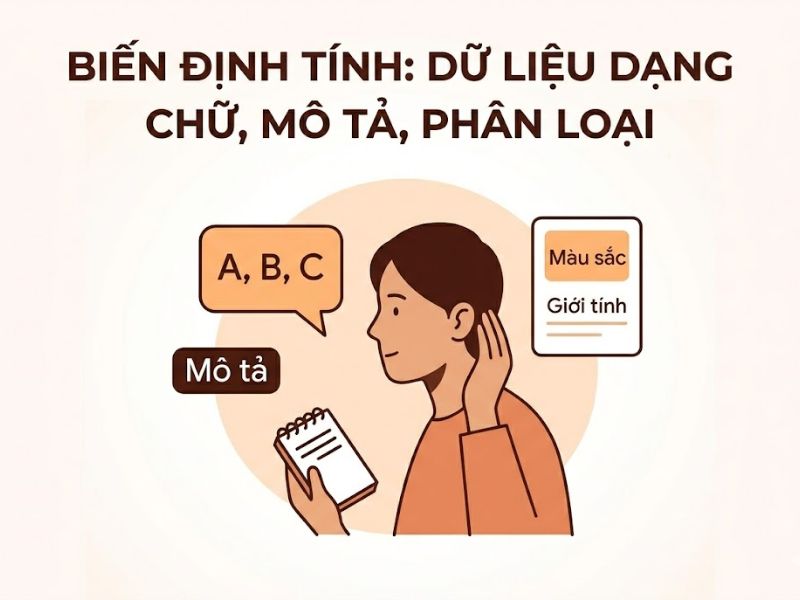 Biến Định Tính Và Biến Định Lượng: Định Nghĩa, Phân Biệt Và Ứng Dụng Trong Nghiên Cứu Khoa Học
