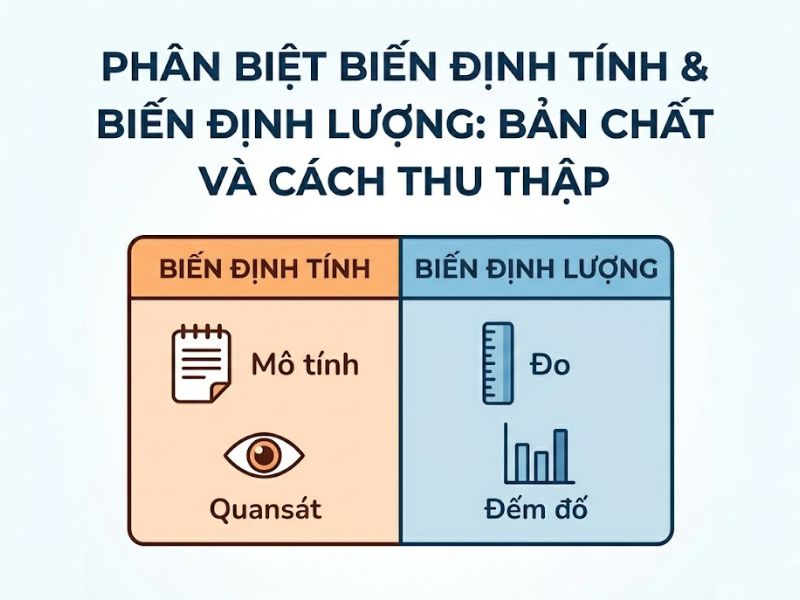 Biến Định Tính Và Biến Định Lượng: Định Nghĩa, Phân Biệt Và Ứng Dụng Trong Nghiên Cứu Khoa Học
