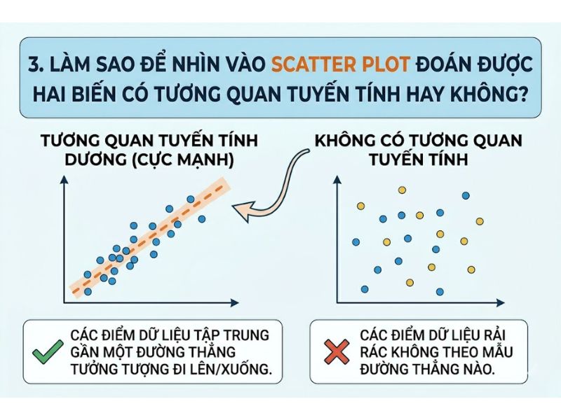 Biểu đồ phân tán Scatter Plot là gì? Hướng dẫn cách đọc và nhận diện tương quan tuyến tính trước khi chạy hồi quy
