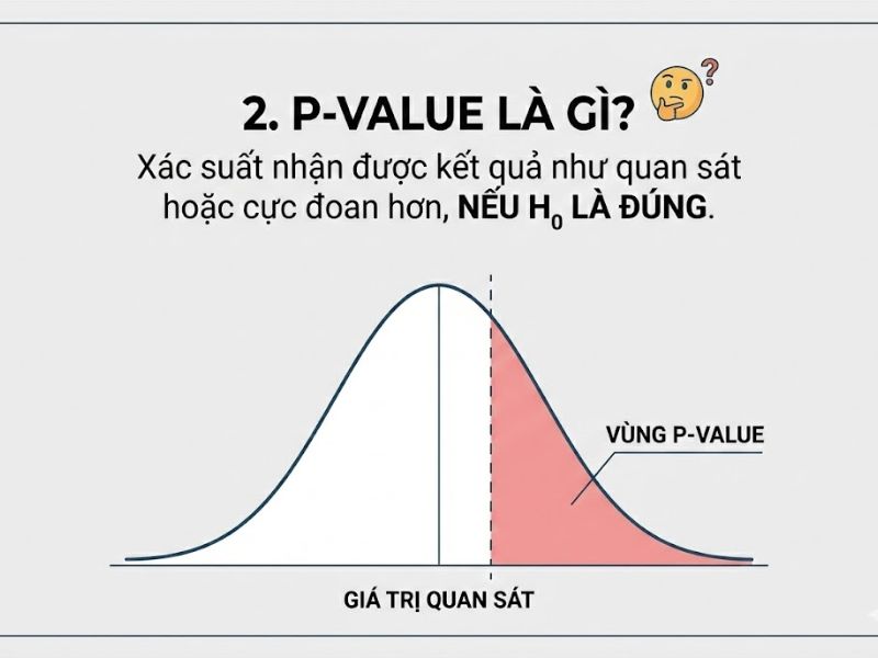 Chỉ số p-value là gì? Giải thích thực tế và cách xử lý khoa học khi p-value > 0.05
