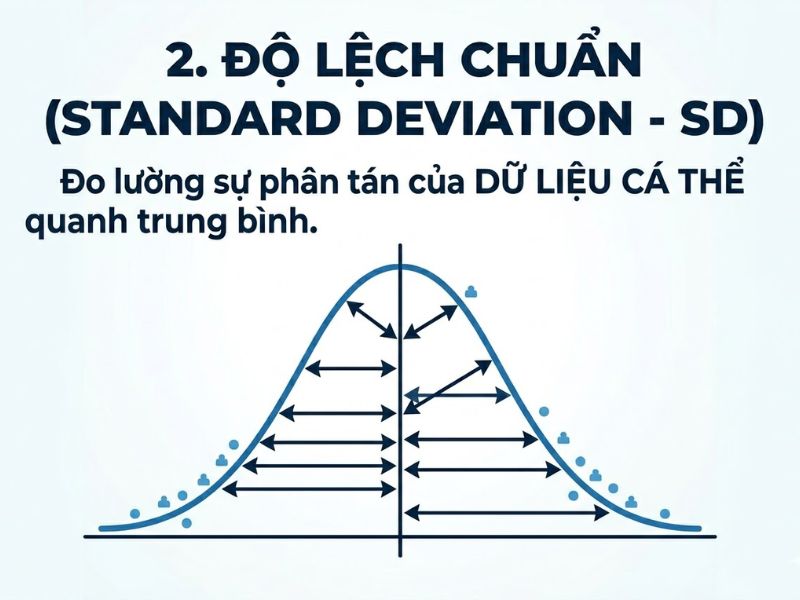 Độ lệch chuẩn và Sai số chuẩn: Phân biệt rõ ràng Standard Deviation (SD) và Standard Error (SE) trong nghiên cứu khoa học
