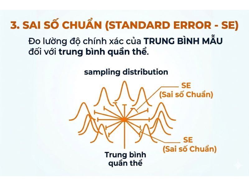 Độ lệch chuẩn và Sai số chuẩn: Phân biệt rõ ràng Standard Deviation (SD) và Standard Error (SE) trong nghiên cứu khoa học

