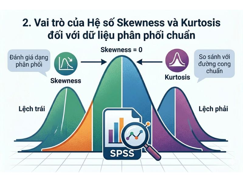 Hệ số Skewness và Kurtosis: Khái niệm và Tiêu chuẩn kiểm định phân phối chuẩn trên SPSS
