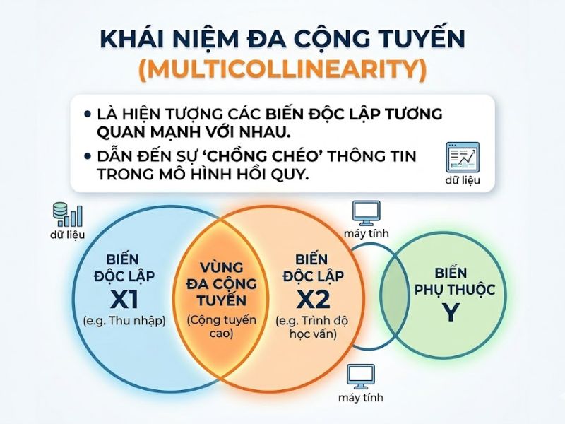 Hiện tượng đa cộng tuyến (Multicollinearity) là gì? Tiêu chuẩn kiểm tra bằng VIF, Tolerance và Cách xử lý